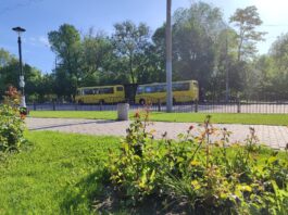З 2 червня змінюються графіки руху окремих автобусних маршрутів у Павлограді