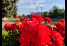 На павлоградців чекає спекотний тиждень