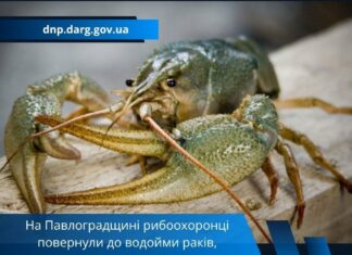 На річці Вовча на Павлоградщині рибоохоронці затримали порушника