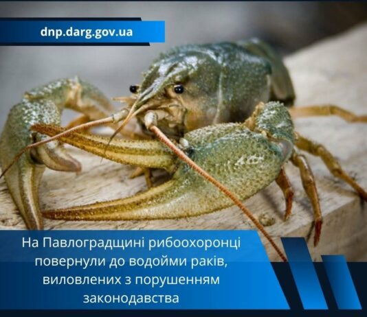 На річці Вовча на Павлоградщині рибоохоронці затримали порушника