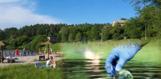 У річці Вовча у Павлограді виявили холероподібний вібріон
