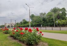 Якою буде погода у Павлограді на цьому тижні?