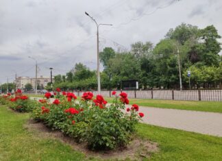 Якою буде погода у Павлограді на цьому тижні?