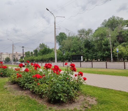 Якою буде погода у Павлограді на цьому тижні?