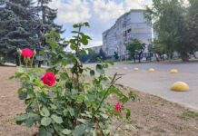 Якою буде погода у Павлограді на цьому тижні?