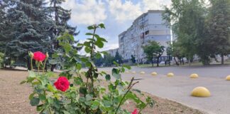 Якою буде погода у Павлограді на цьому тижні?