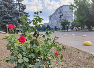 Якою буде погода у Павлограді на цьому тижні?