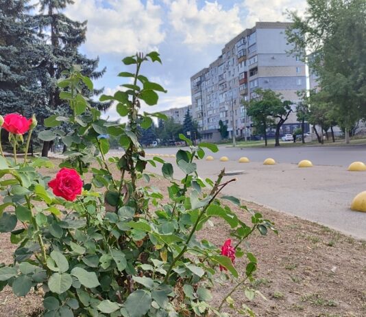 Якою буде погода у Павлограді на цьому тижні?