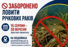 15 серпня на водоймах Дніпропетровщини стартує заборона на вилов річкових раків