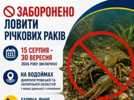 15 серпня на водоймах Дніпропетровщини стартує заборона на вилов річкових раків