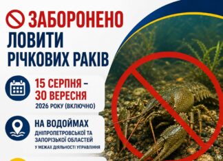 15 серпня на водоймах Дніпропетровщини стартує заборона на вилов річкових раків
