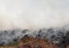 У Павлограді знову сталося загоряння на міському полігоні ТПВ