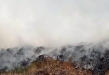 У Павлограді знову сталося загоряння на міському полігоні ТПВ