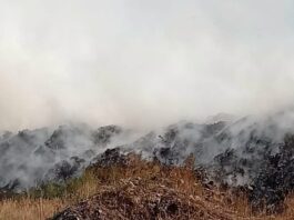 У Павлограді знову сталося загоряння на міському полігоні ТПВ