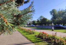 Якою буде погода у Павлограді на цьому тижні?