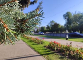 Якою буде погода у Павлограді на цьому тижні?