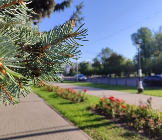 Якою буде погода у Павлограді на цьому тижні?