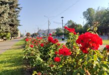 Якою буде погода у Павлограді на цьому тижні?