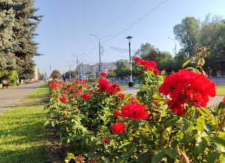 Якою буде погода у Павлограді на цьому тижні?