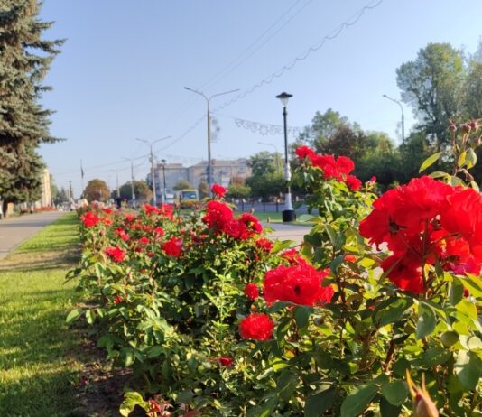 Якою буде погода у Павлограді на цьому тижні?