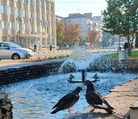 Якою буде погода у Павлограді на цьому тижні?