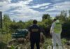 На Дніпропетровщині, зокрема у Павлограді, поліцейські викрили незаконне вирощування конопель