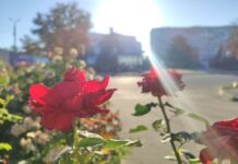 Якою буде погода у Павлограді на цьому тижні?