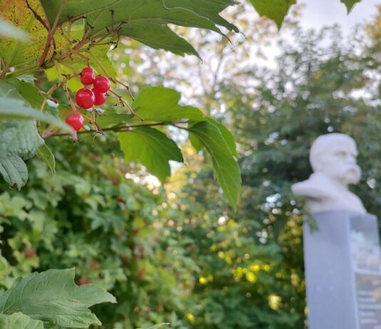 Якою буде погода у Павлограді на цьому тижні?