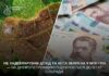 Не задекларував дохід та 40 га землі на 9 млн грн: підозрюється депутат сільради Синельніківщини