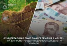Не задекларував дохід та 40 га землі на 9 млн грн: підозрюється депутат сільради Синельніківщини