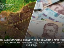 Не задекларував дохід та 40 га землі на 9 млн грн: підозрюється депутат сільради Синельніківщини