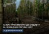 На Дніпропетровщині стягнуть майже 5 млн грн до бюджету за незаконну вирубку лісу