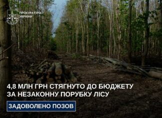 На Дніпропетровщині стягнуть майже 5 млн грн до бюджету за незаконну вирубку лісу