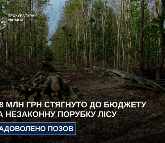 На Дніпропетровщині стягнуть майже 5 млн грн до бюджету за незаконну вирубку лісу