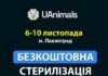 У Павлограді працюватиме ветеринарна місія із безкоштовної стерилізації безпритульних тварин