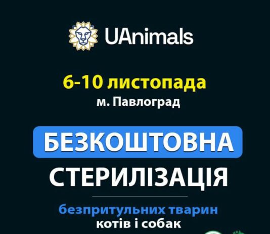 У Павлограді працюватиме ветеринарна місія із безкоштовної стерилізації безпритульних тварин