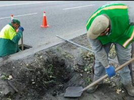 У Павлограді проводять технічні огляди дощоприймальних колодязів і камер