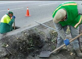 У Павлограді проводять технічні огляди дощоприймальних колодязів і камер