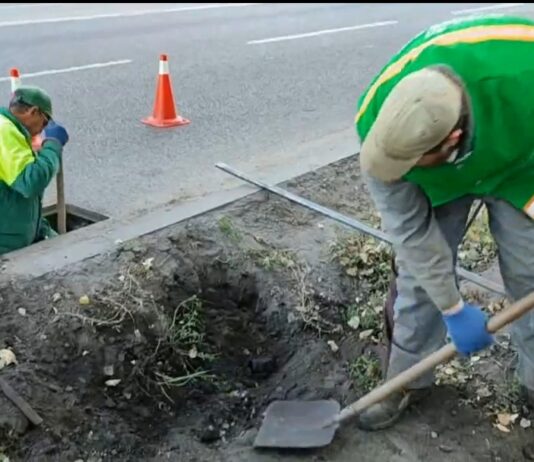У Павлограді проводять технічні огляди дощоприймальних колодязів і камер