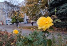 Якою буде погода у Павлограді на цьому тижні?