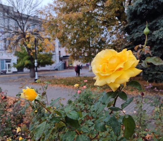 Якою буде погода у Павлограді на цьому тижні?