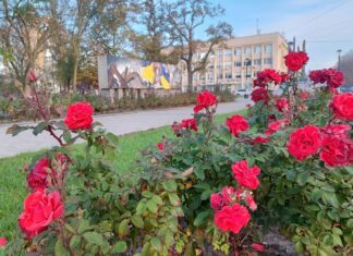 Якою буде погода у Павлограді на цьому тижні?